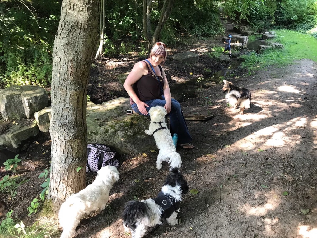 Hundepension, Hundetagesstätte und Ganztagsbetreuung für Hunde